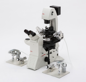 Microscopio ICSI LEICA | ARBiotech
